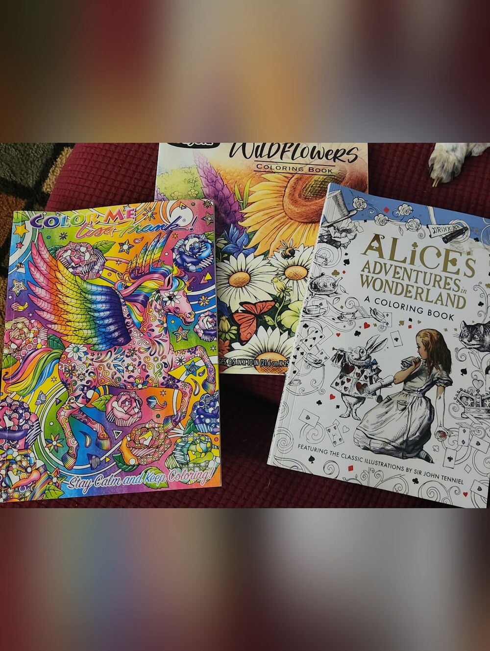 Adult Coloring Book Lot Crayola Wildflowers Lisa Frank Alice In Wonderland